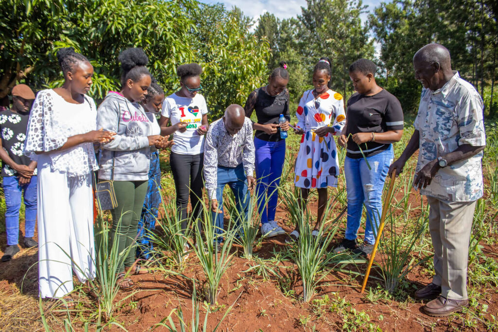 Csaea College of Sustainable Agriculture for Eastern Africa – CSAEA