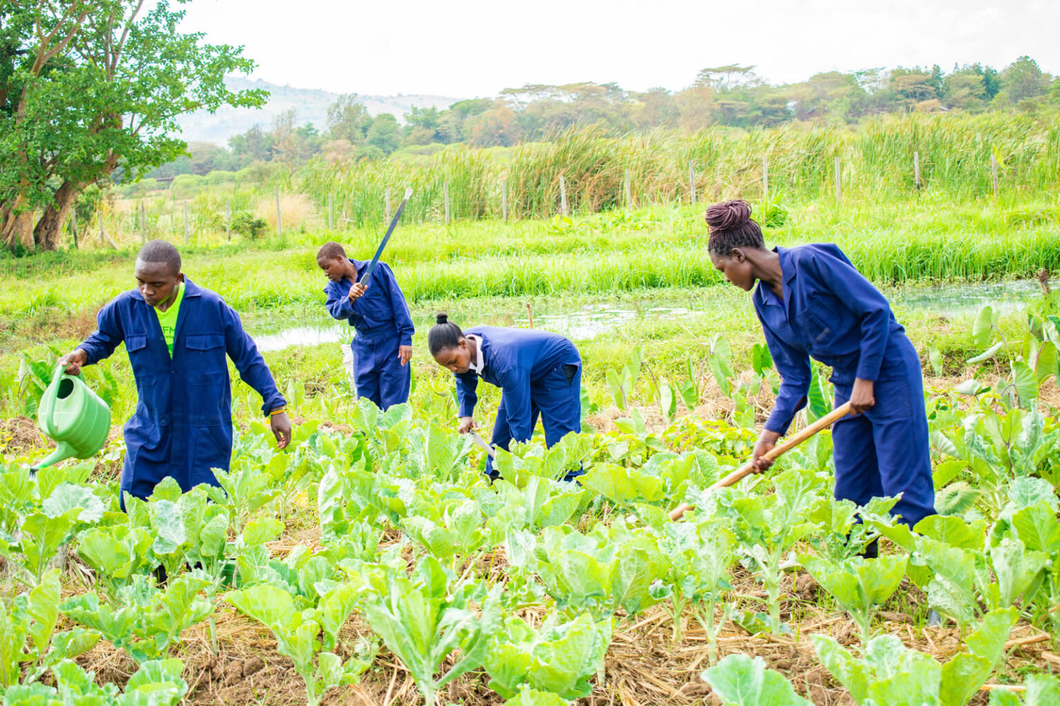 Csaea College of Sustainable Agriculture for Eastern Africa – CSAEA